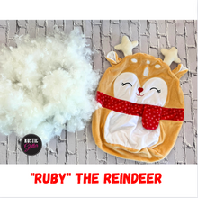 Load image into Gallery viewer, Build Your Own Squishy Friend | DIY KIT |  Gifts
